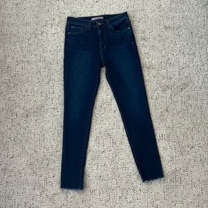 Joe’s Jeans Haxby High Rise Skinny Ankle Jeans size 28